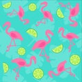 Flamingo and lime seamless pattern Royalty Free Stock Photo