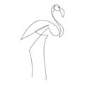 Flamingo line drawing logo, icon, label. Decorative element. in trendy outline style. Vector illustration.