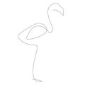 Flamingo line drawing, vector illustration