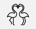 Flamingo Line Icon Two Bird Love Lover Pair Romance Romantic Wildlife Animal Zoo Nature Together Cartoon Black Sign Symbol Vector