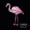 Flamingo logo vector.Pink Flamingo icon on a dark background