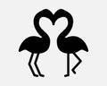 Flamingo Love Icon Couple Two Pair Bird Kiss Kissing Romantic Romance Lover Valentine Wildlife Animal Zoom Back Sign Symbol Vector