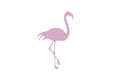 Flamingo minimal illustration