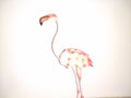 Flamingo minimalist Royalty Free Stock Photo