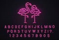 Flamingo neon sign. Pink 80s font. Tropical flamingos electric glow bar billboard with purple light bulb letters vector Royalty Free Stock Photo