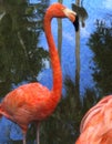 Flamingo Oil Painting Background Wallpaper, Tropical Bird, Creative Art, Wildlife, Royalty Free Stock Photo 