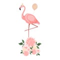 Flamingo party invitation.Baby shower invitations with flamingo cartoon character set. Royalty Free Stock Photo