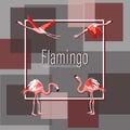 Flamingo. Patchwork background. Vector illustration with tropical birds