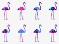 Flamingo with a pattern of geometric shapes, memphis style. A set of birds. Vector Royalty Free Stock Photo