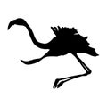 Flamingo Phoenicopterus Silhouette Found In Map Of South America, Africa,Europe and Western Asia