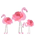Flamingo with pink hand drawn roses, hearts
