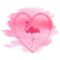 Flamingo in pink heart isolated on white Royalty Free Stock Photo