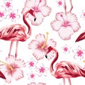 Flamingo pink hibiscus plumeria white background seamless