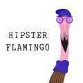 Hipster flamingo