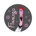 Hipster flamingo