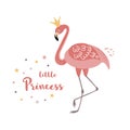 Flamingo Princess Cute pink flamingo text little princess isolated on white. Girls print vector Royalty Free Stock Photo