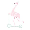 Flamingo on scooter Royalty Free Stock Photo