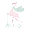 Flamingo on scooter Royalty Free Stock Photo