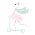 Flamingo on scooter Royalty Free Stock Photo