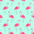 Flamingo seamless pattern on mint green background. Pink flamingo vector background design for fabric and decor. Royalty Free Stock Photo