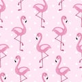 Flamingo seamless pattern with polka dots design. Cute pink tropical wallpaper and fabric print. Doodle vector illustration for