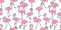 Flamingo seamless pattern vector pink Flamingos exotic bird tropical scarf isolated tile background repeat wallpaper cartoon illus