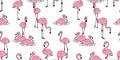 Flamingo seamless pattern vector pink Flamingos exotic bird tropical summer scarf isolated repeat wallpaper tile background cartoo Royalty Free Stock Photo