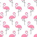 Flamingo seamless pattern on white background.