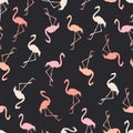 flamingo seamless vector pattern Royalty Free Stock Photo