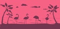 Flamingo silhouette. Birds on beach, wildlife and nature. Summertime, vacation or tourism illustration. Art flamingos