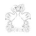 Flamingo sketch Pair of cute lovers pink flamingos with cute eyes with eyelashes with flowers beautiful black and