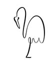 Flamingo staying on one leg continuous line logo. Vector illustration of bird form. Hand drawn element isolated on white Royalty Free Stock Photo