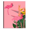 Flamingo and strelitzia flower. Tropical Summer. Palm leaves, plants, Bird of paradise. Rectangle frame. Text.