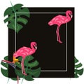 Flamingo and strelitzia flower. Tropical Summer. Palm leaves, plants, Bird of paradise. Rectangle frame. Text.