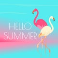 Flamingo summer time poster Royalty Free Stock Photo