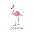 Pink Vibes slogan for t shirt design with flamingo princess in sneakers. Tee shirt typography with tropical bird in crown