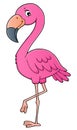 Flamingo topic image 1