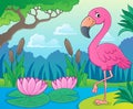 Flamingo topic image 4 Royalty Free Stock Photo