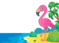 Flamingo topic image 6 Royalty Free Stock Photo