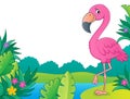 Flamingo topic image 3