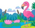 Flamingo topic image 5 Royalty Free Stock Photo