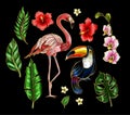 Flamingo, toucan and flowers embroidery patches for your design.