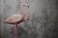 Flamingo toy