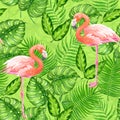 Flamingo Tropical Watercolor