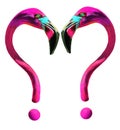 Flamingo two question marks. Two pink and magenta flamingos are beak to beak but their necks look like question marks