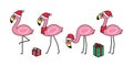Flamingo vector Christmas icon Santa Claus hat gift box bird cartoon character animal exotic nature wild fauna illustration doodle Royalty Free Stock Photo