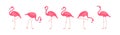 Flamingo vector icon, cartoon pink tropical bird, summer animal set, cute zoo character. Exotic fauna illustration Royalty Free Stock Photo