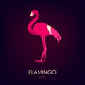 Flamingo vector icon on dark background. Logo. Flat design Royalty Free Stock Photo