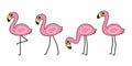 Flamingo vector icon pink flamingos collection cartoon character animal exotic nature wild fauna illustration doodle Royalty Free Stock Photo