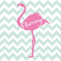 Flamingo. Vector illustration